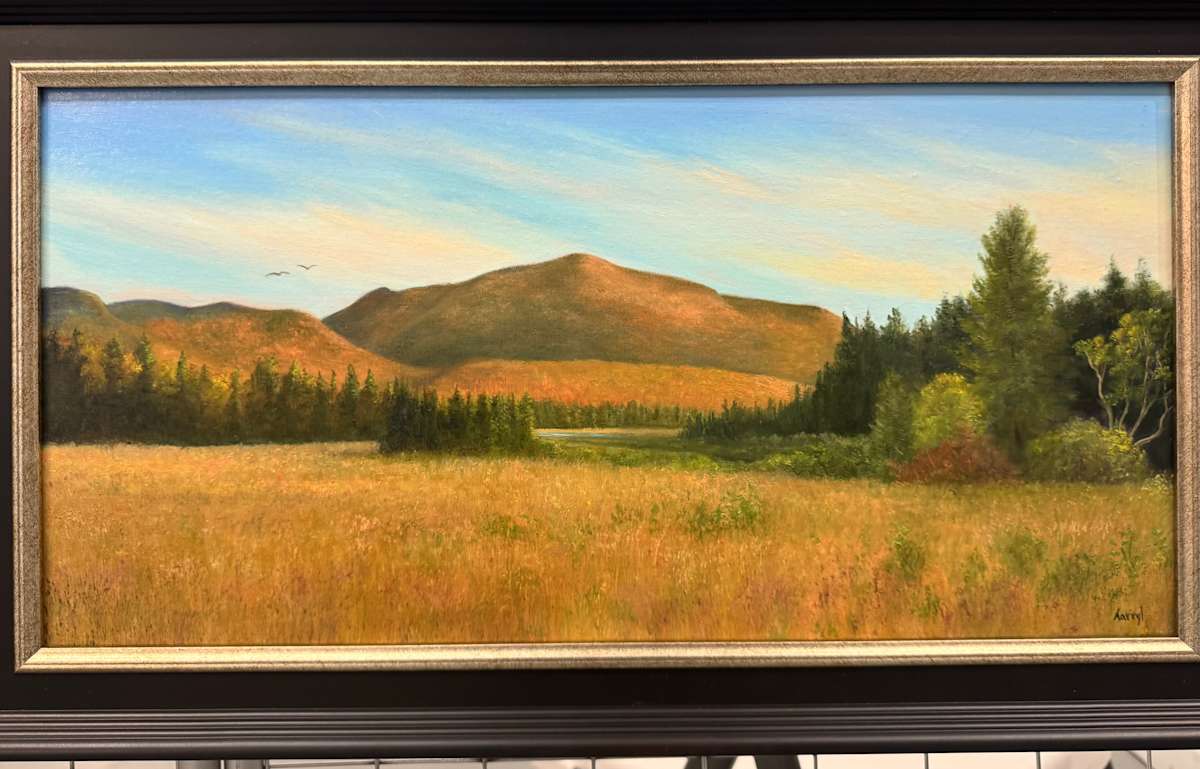 Golden Meadow and Mountains…ADK Loj Road by Tarryl Gabel 