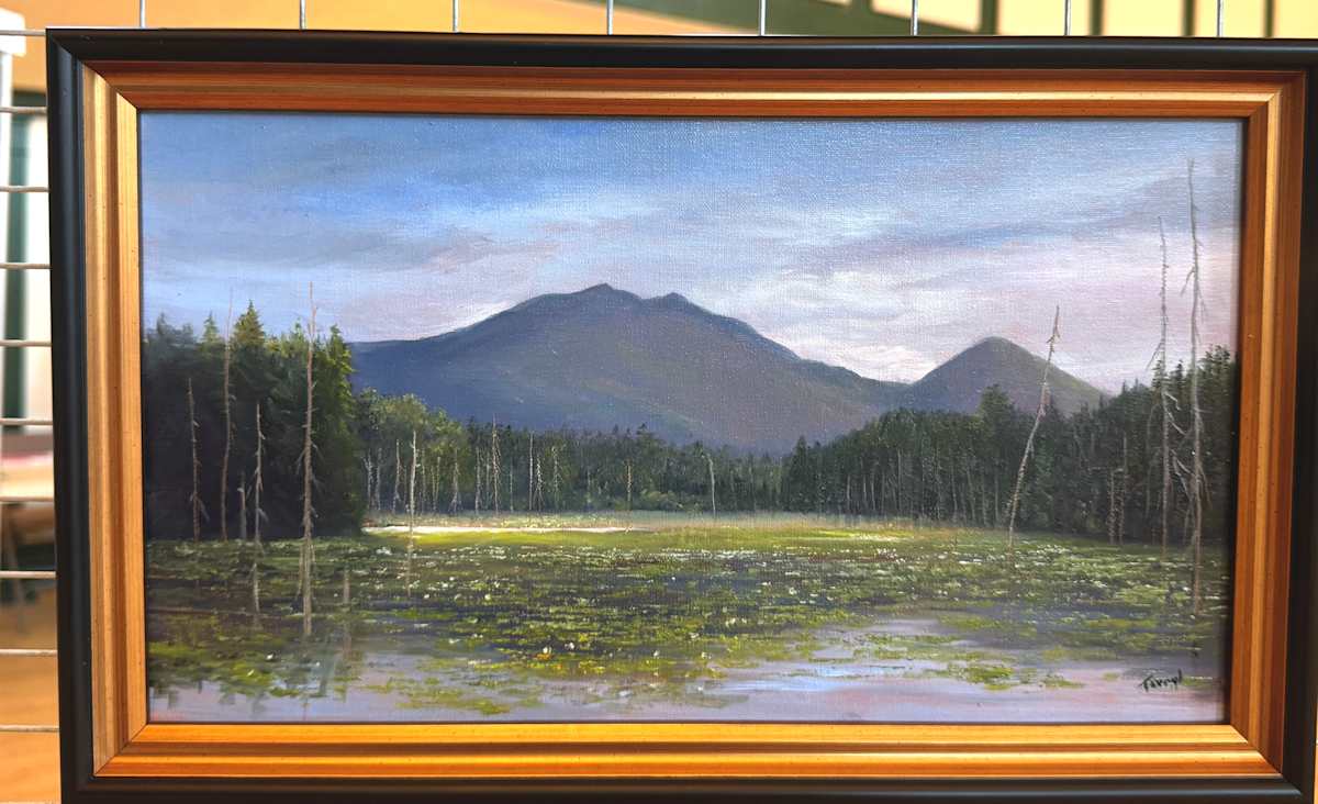 Mountains and Marsh in Bloom, (rail trail) by Tarryl Gabel, Image 1.