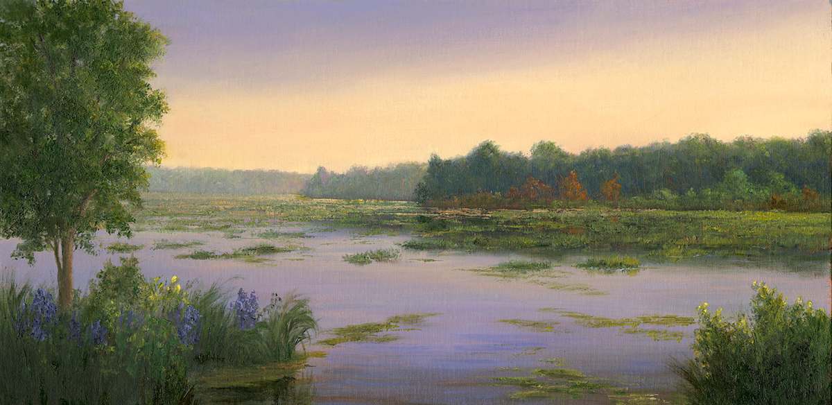 North Country Marsh in bloom by Tarryl Gabel, Image 1.