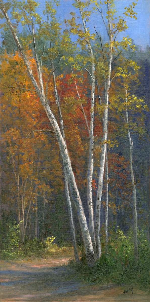Young Birches by Tarryl Gabel, Image 1.