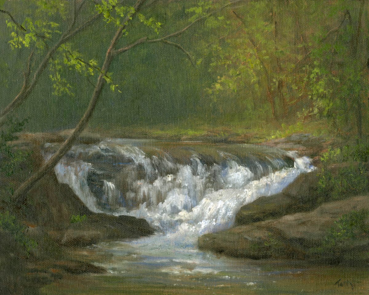 Waterfall, Smokey Mnts by Tarryl Gabel 