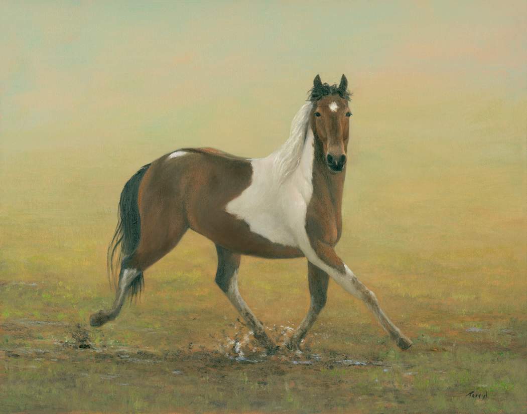 Spring Fever- Scout by Tarryl Gabel, Image 1.