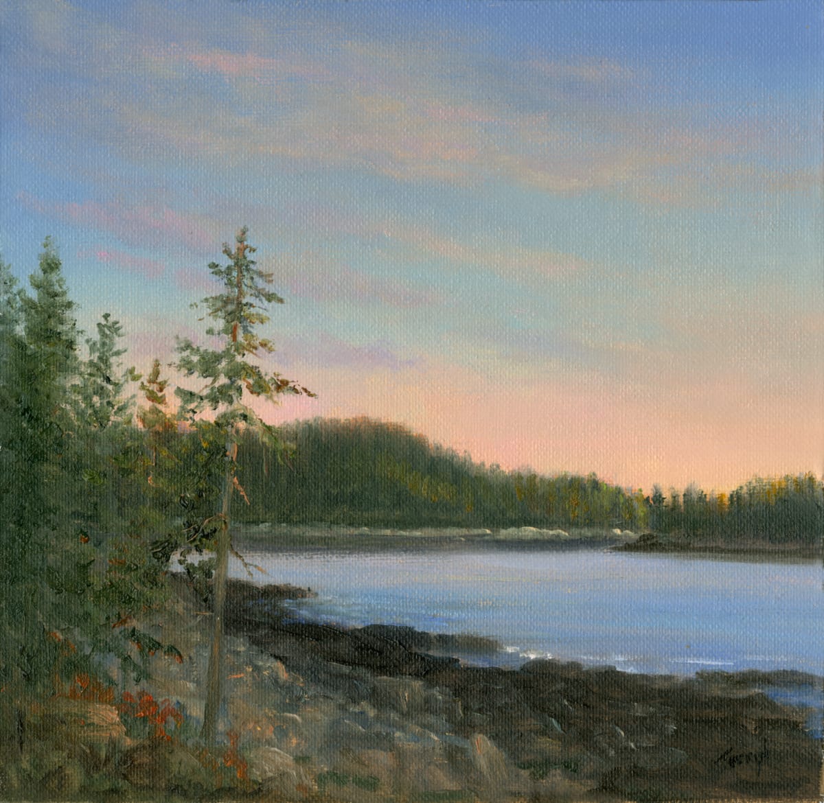 Sunrise Acadia Shore - Schoodic Peninsula by Tarryl Gabel 