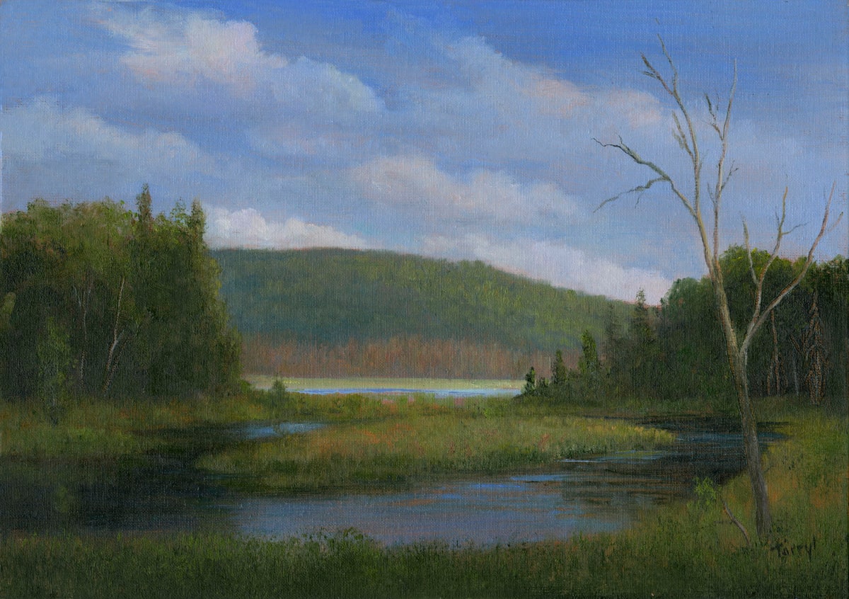 Afternoon light across the marsh by Tarryl Gabel, Image 1.