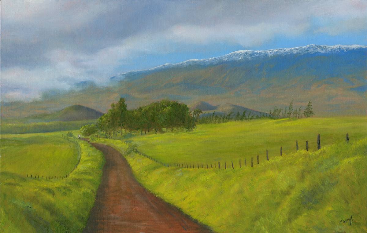 Hawaii - commissioned work by Tarryl Gabel 