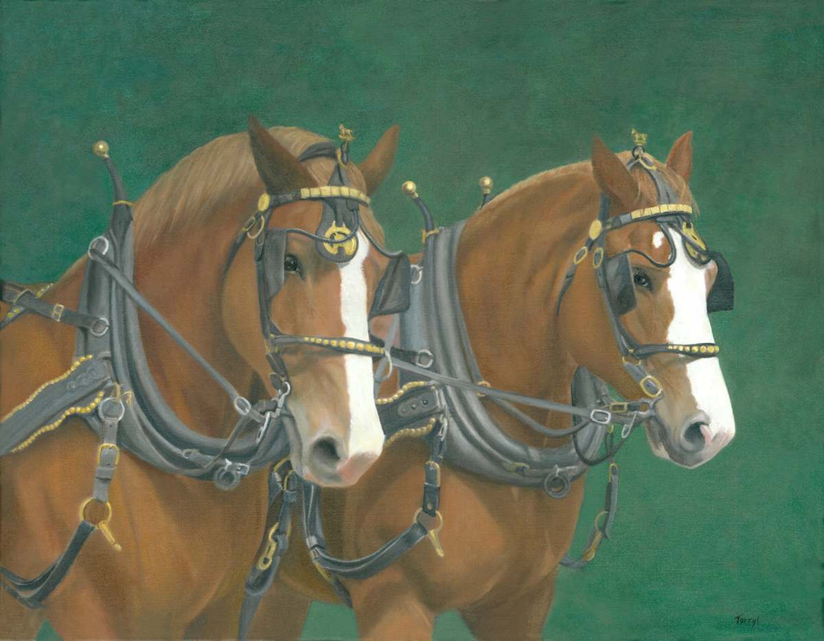 Belgians, Charlies Team by Tarryl Gabel, Image 1.