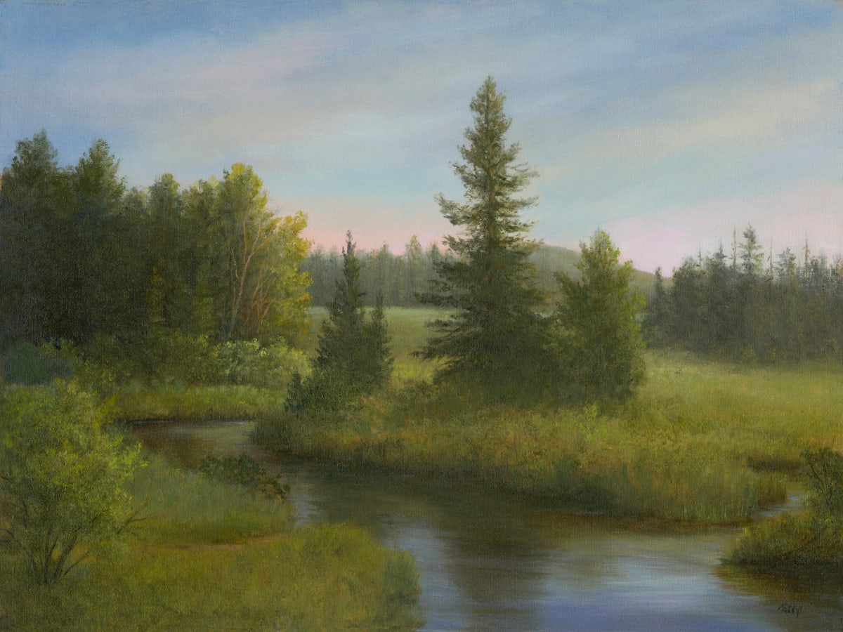 Soft Morning Light, Bloomingdale Bog by Tarryl Gabel 