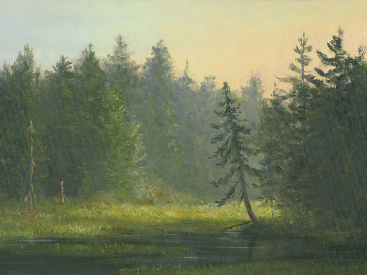 Backlit marsh- Adirondacks by Tarryl Gabel 