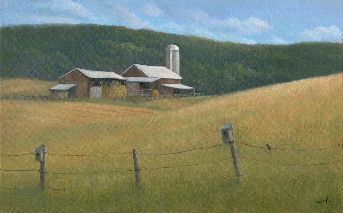 Barns, birds and bales by Tarryl Gabel 