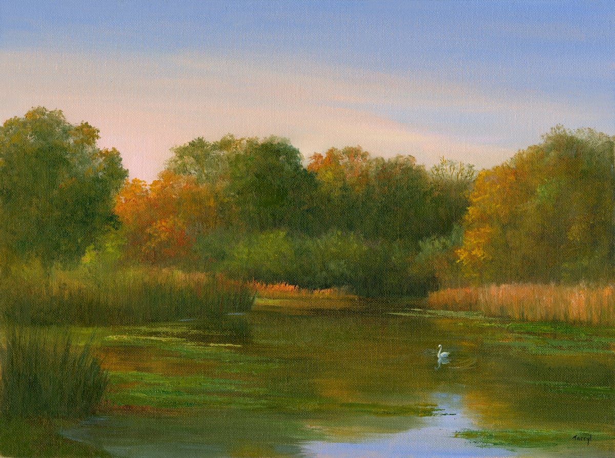 Swan on Baxter Mill Pond 