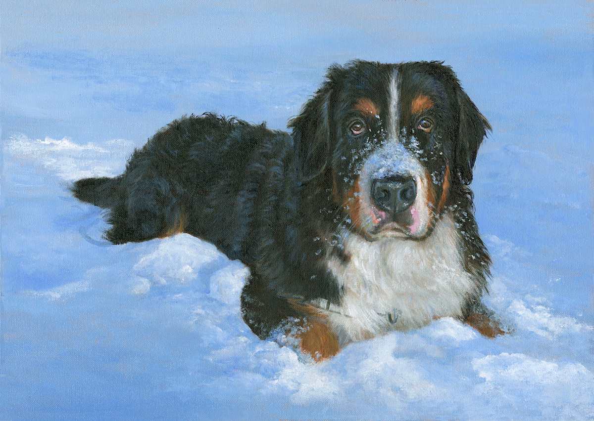 Berner by Tarryl Gabel 