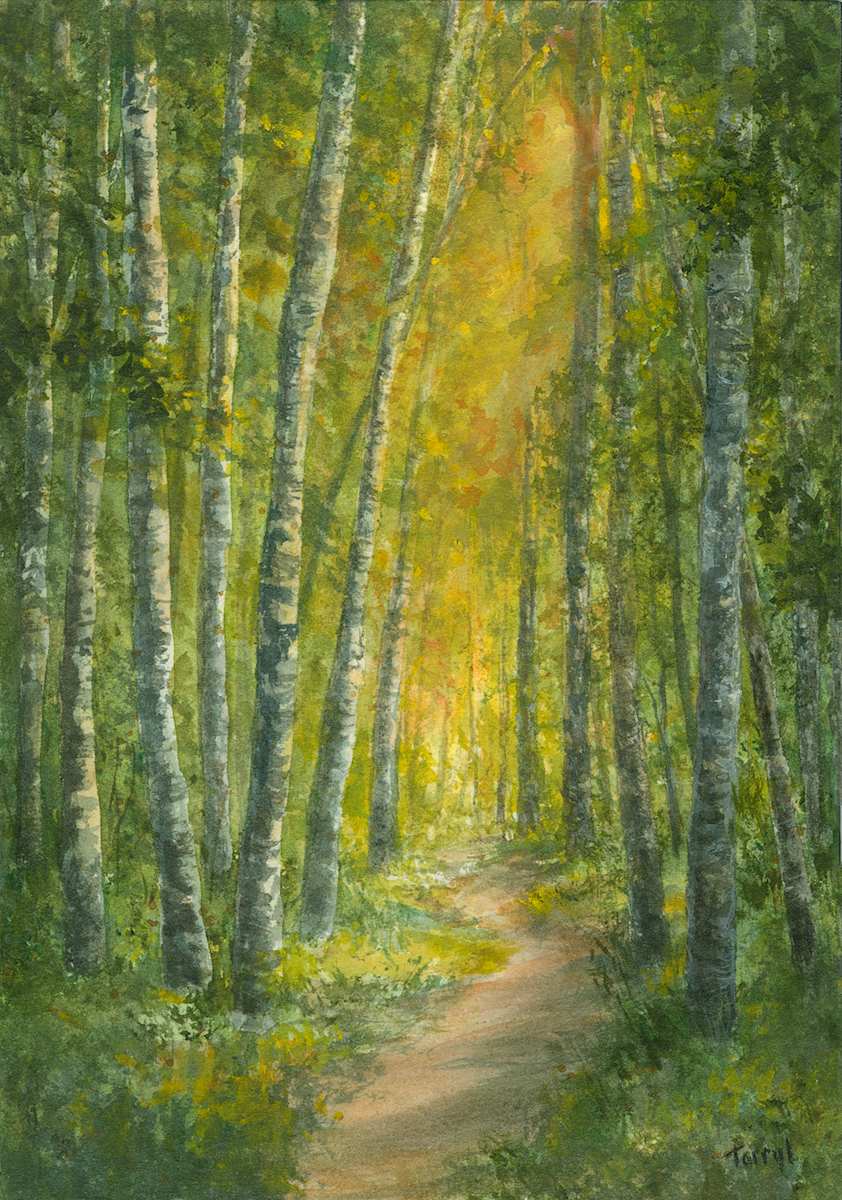 Birch lined trail by Tarryl Gabel 
