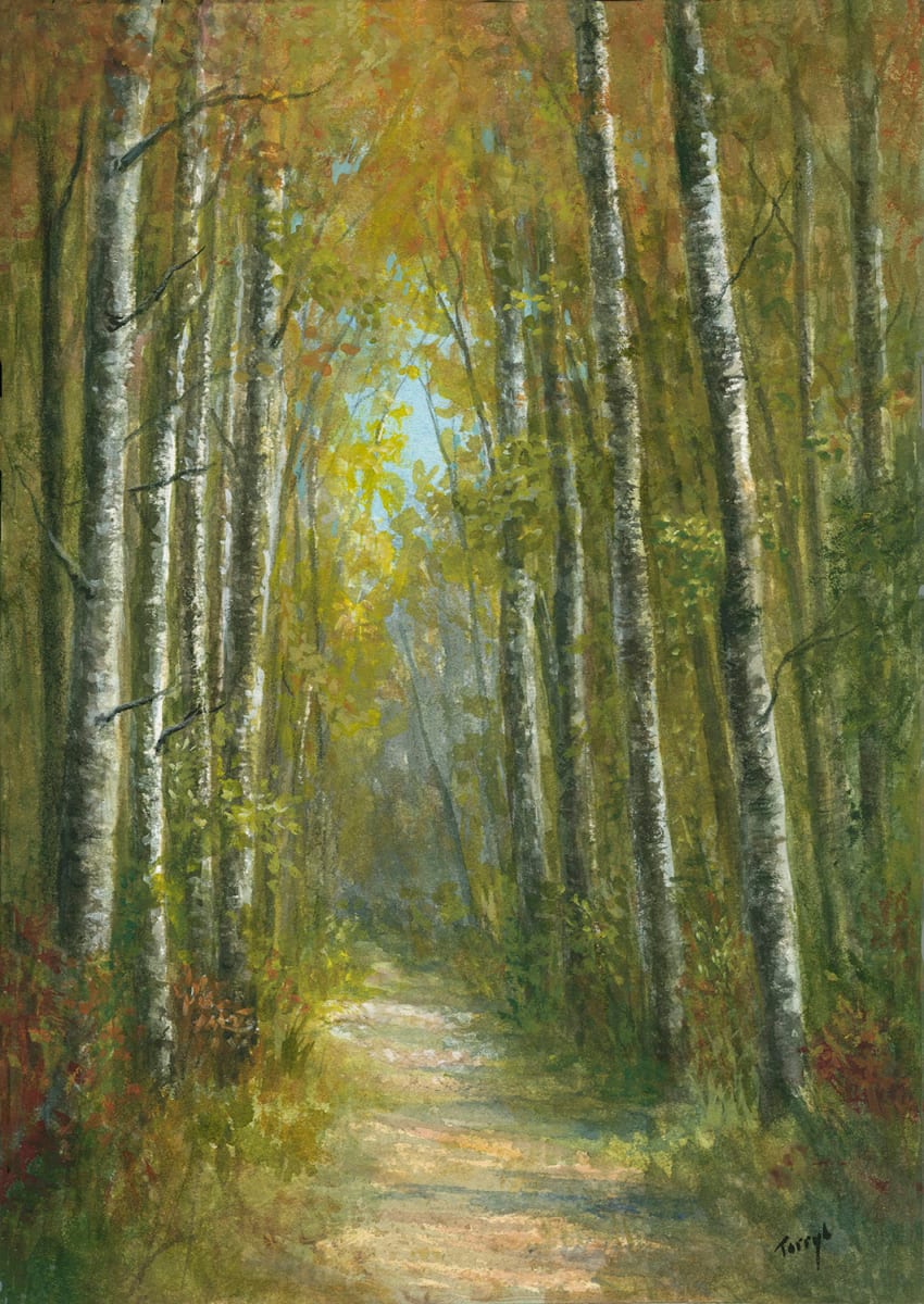 Walkingthe birch lined path by Tarryl Gabel 