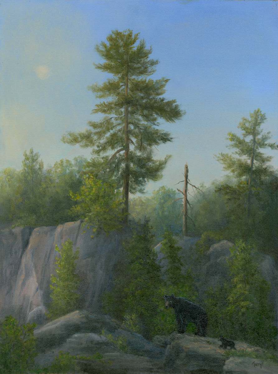 Mama black bear and cub by Tarryl Gabel 