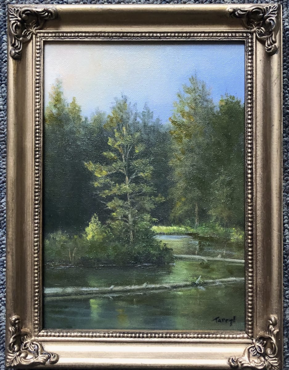 Black Pond, mini 