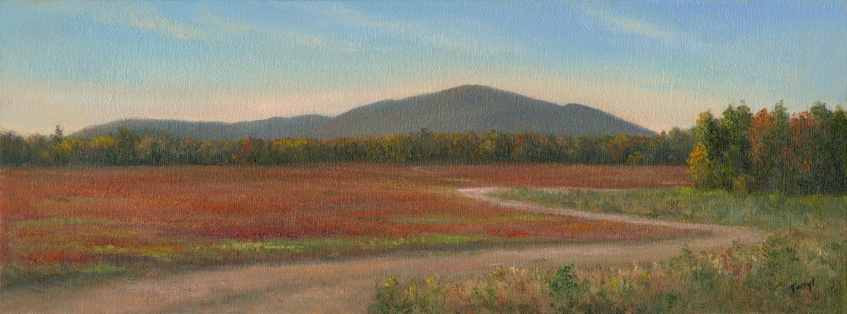 Wild Blueberry Fields by Tarryl Gabel, Image 2.
