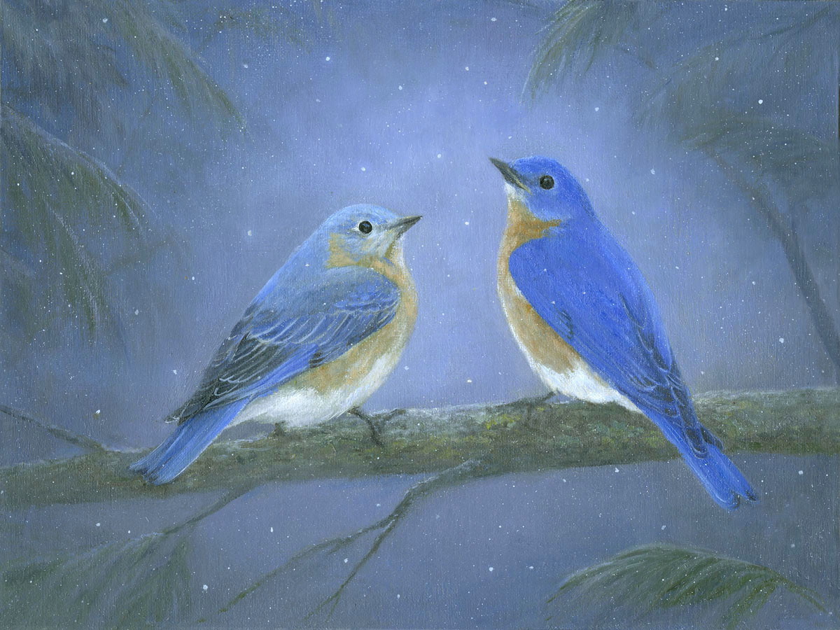 First Snow by Tarryl Gabel 