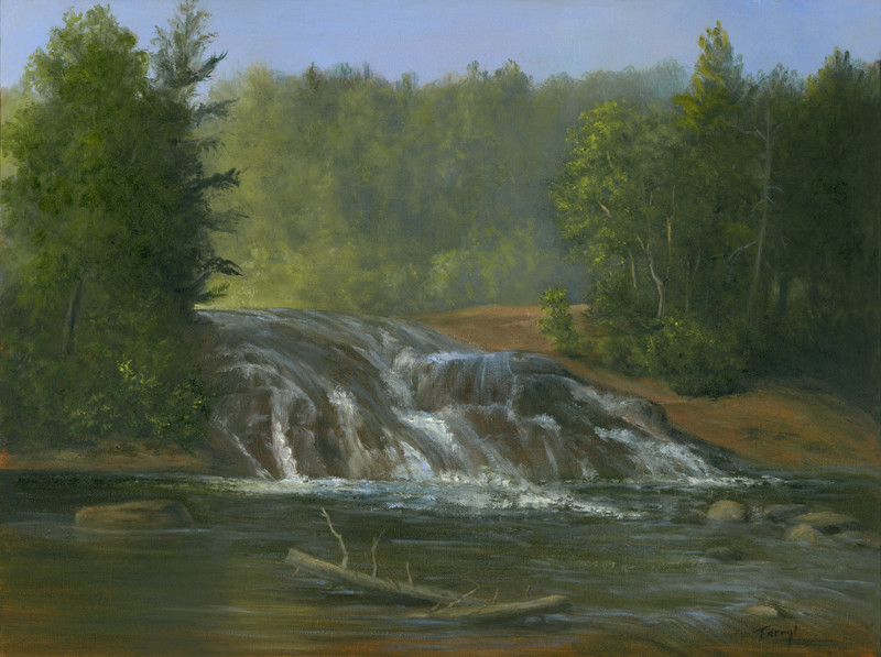 Bog River Falls  by Tarryl Gabel 