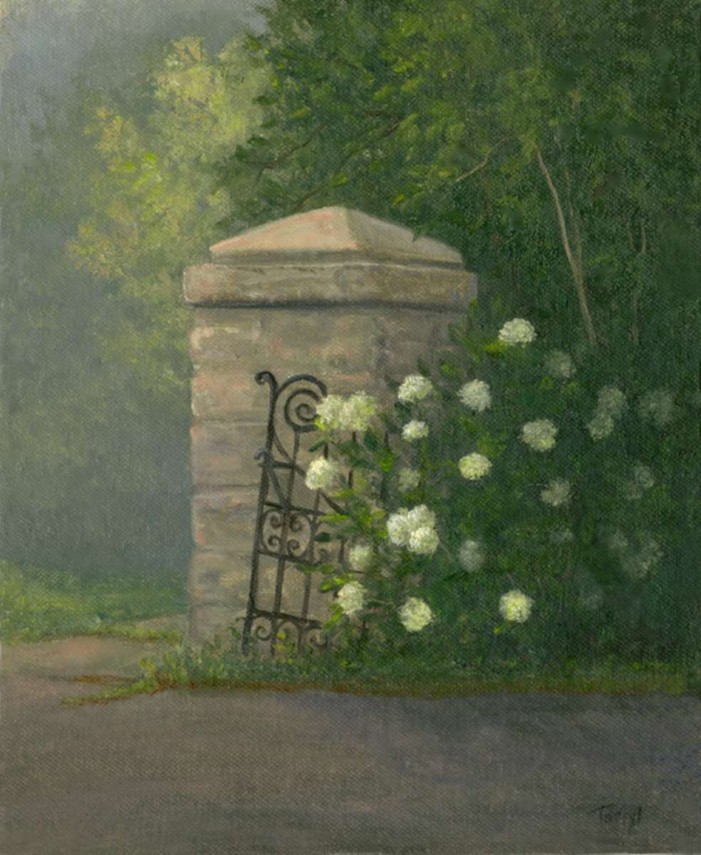 Hydranges at the front gate by Tarryl Gabel, Image 1.