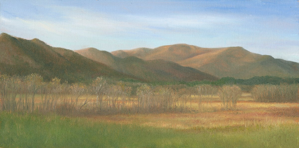 Cades Cove, early spring by Tarryl Gabel 