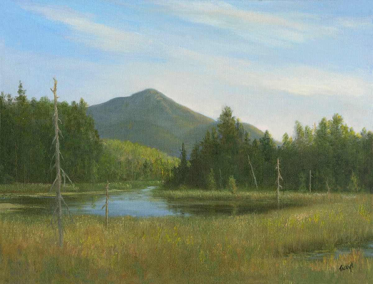 White Face Mnt from Cherry Patch Pond- ADKS by Tarryl Gabel, Image 2.