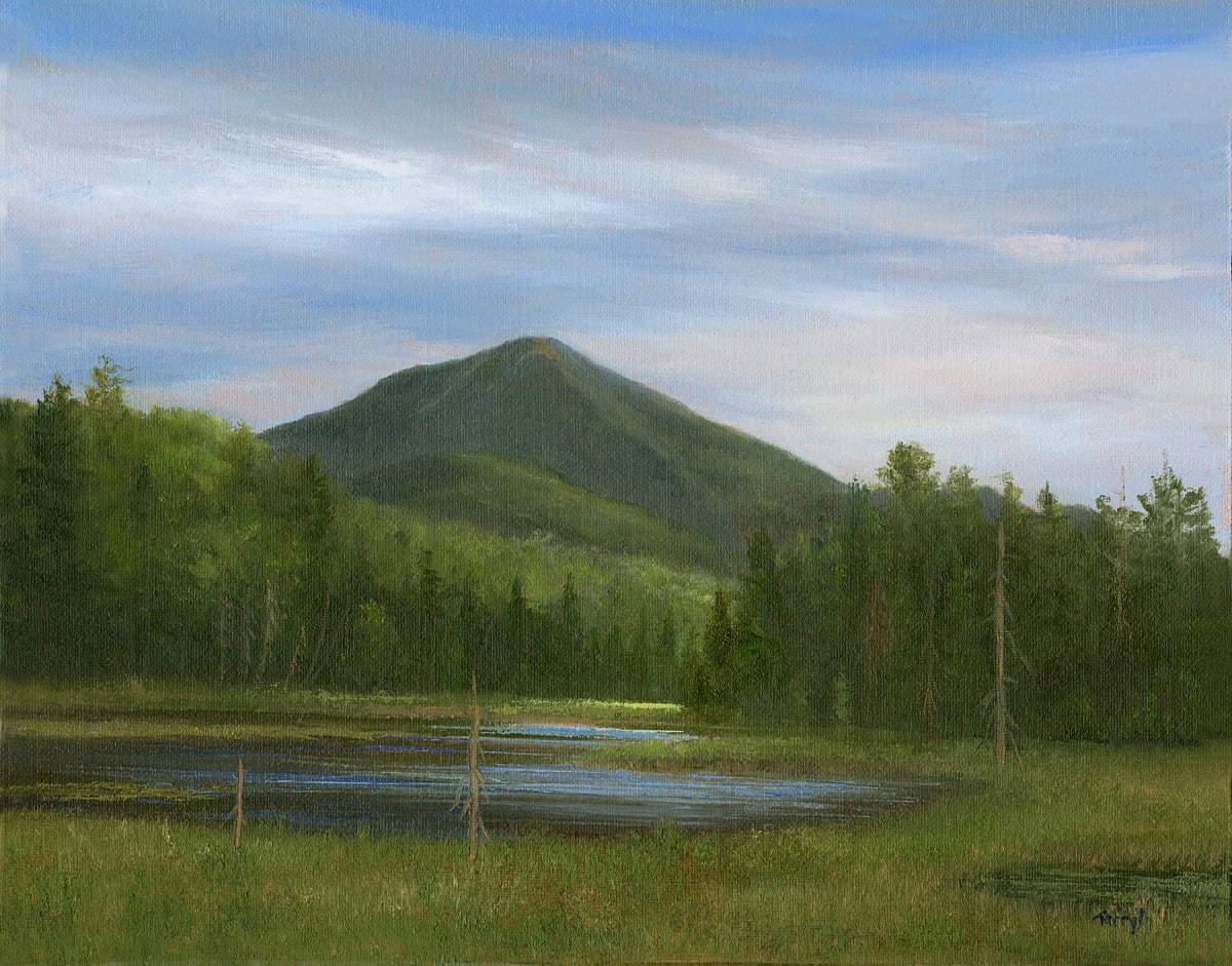 White Face Mnt. From Cherry Patch Pond by Tarryl Gabel, Image 1.