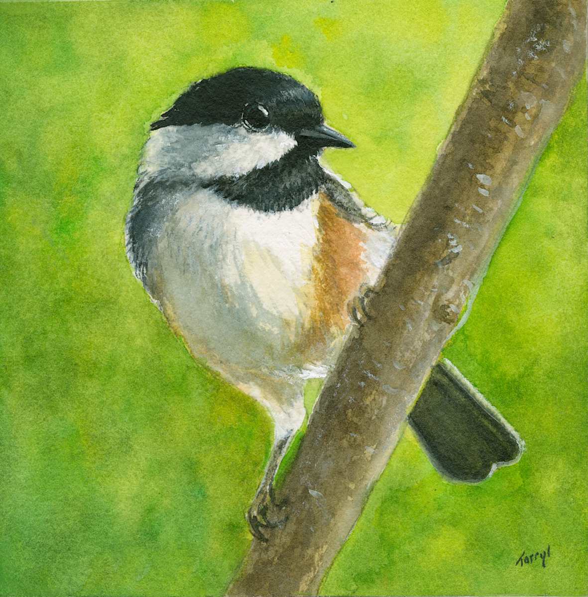 Chickadee by Tarryl Gabel 