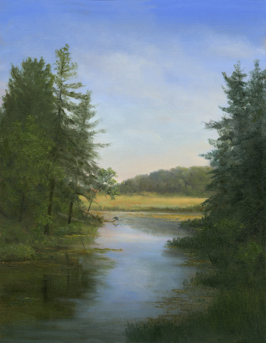 Comerant hanging out on Fish Creek by Tarryl Gabel 