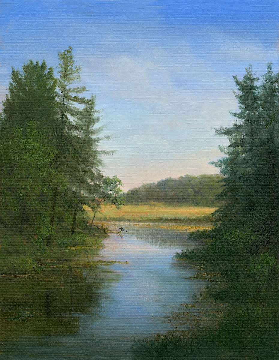 Comerant hanging out on Fish Creek by Tarryl Gabel, Image 1.
