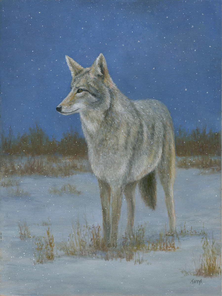 Ghost of the Prarie by Tarryl Gabel 