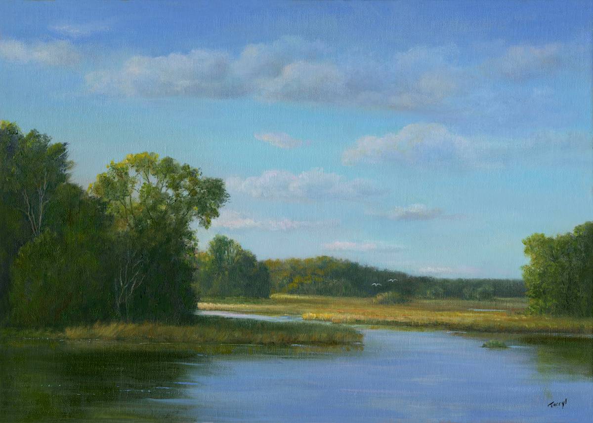 Tidal Marsh - Duxbury MA by Tarryl Gabel 
