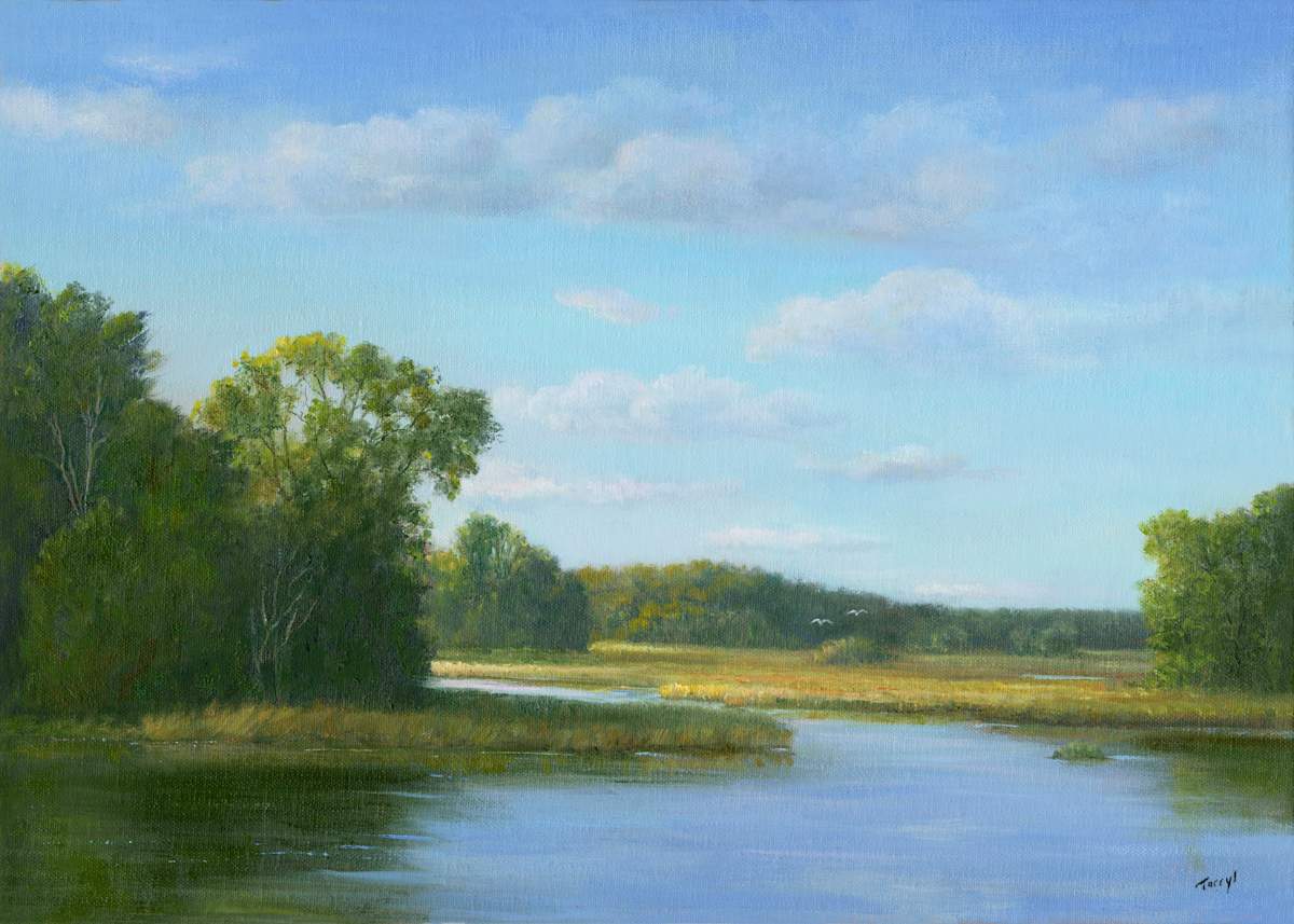 Tidal Marsh - Duxbury MA by Tarryl Gabel 