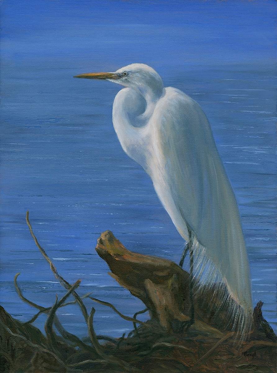 Egret by Tarryl Gabel 
