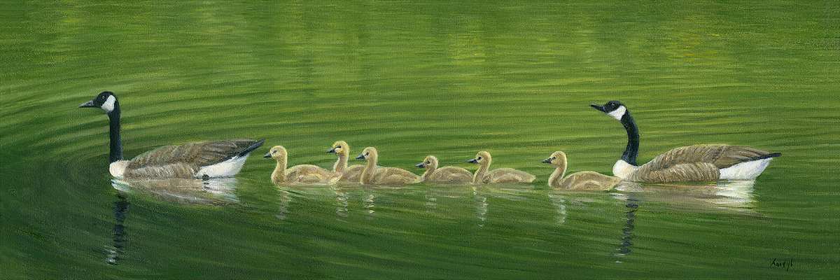 Geese with goslings by Tarryl Gabel 