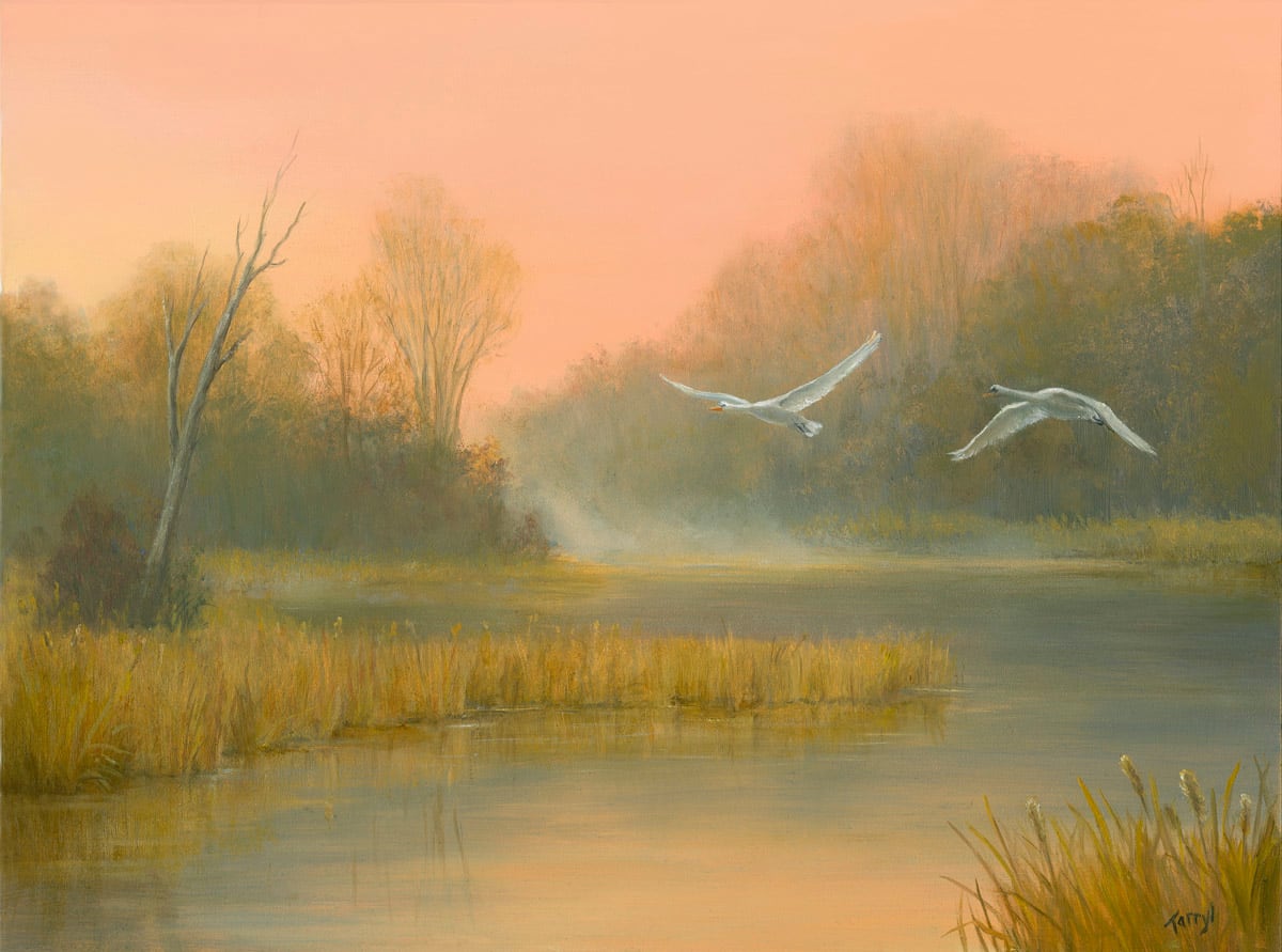 Autumn in the marsh with swans flying 