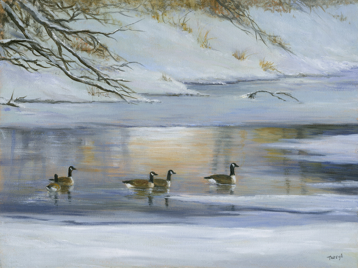 Geese wintering along the Missouri by Tarryl Gabel 