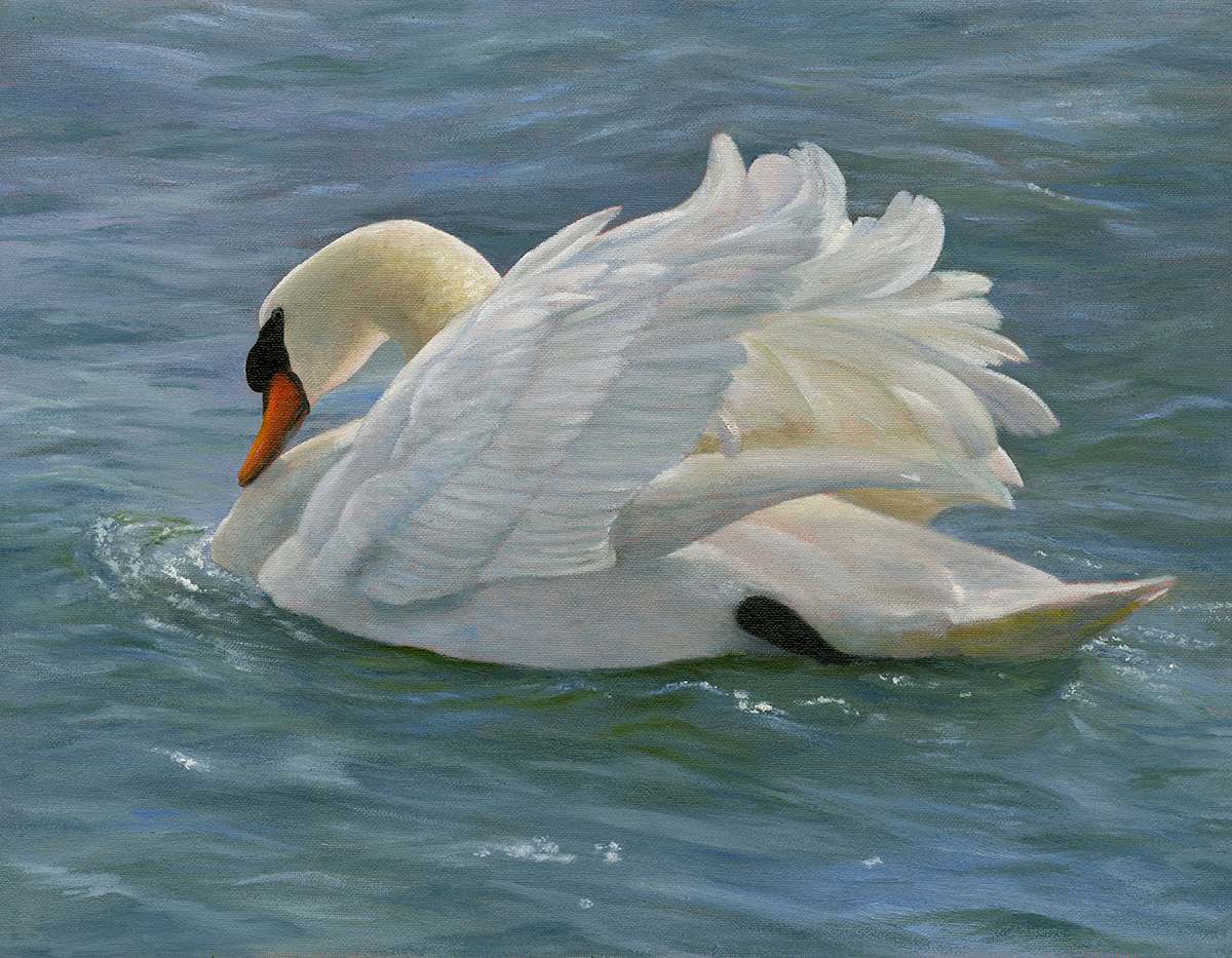 Sunlit Mute Swan by Tarryl Gabel 