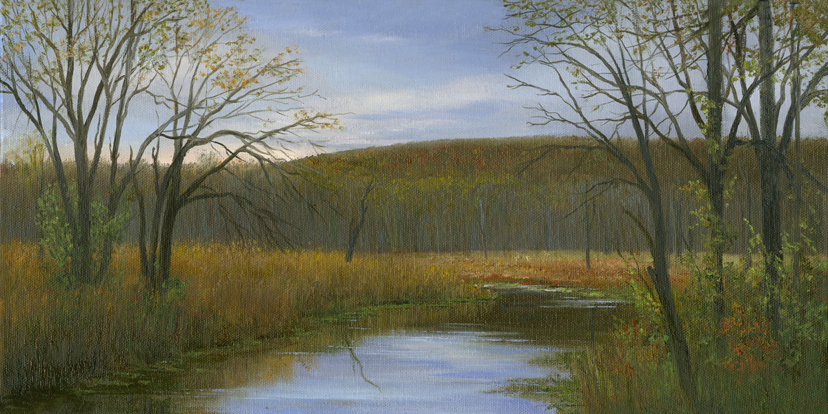 October morning along the Great Swamp by Tarryl Gabel 