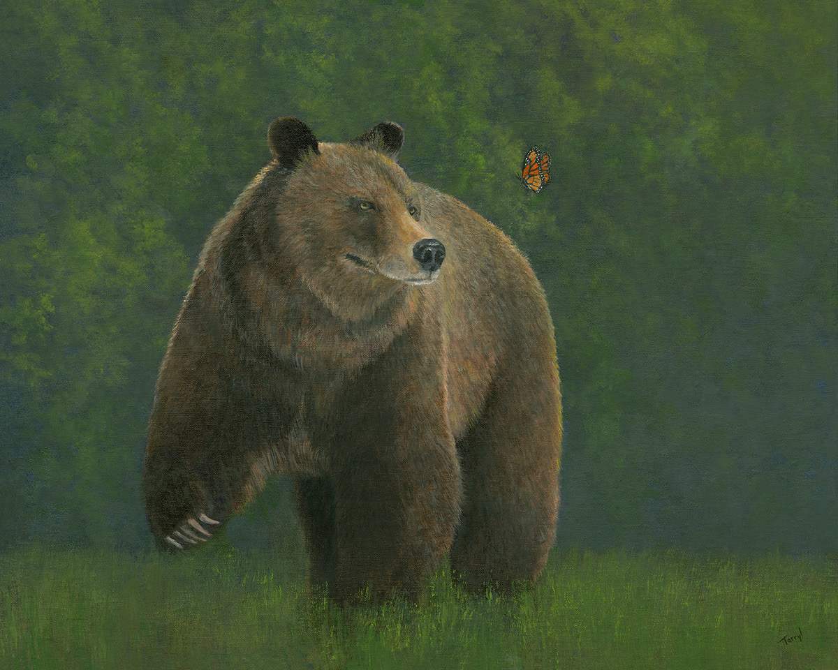 Bear and the butterfly by Tarryl Gabel 