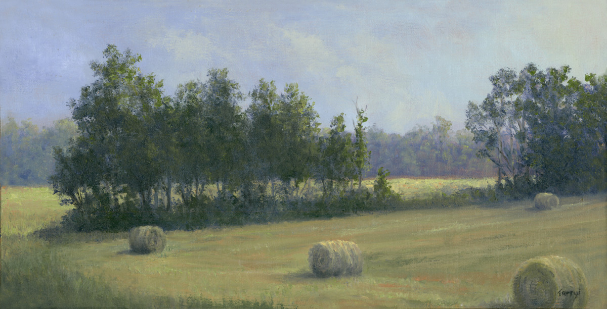 Bales in a row by Tarryl Gabel 