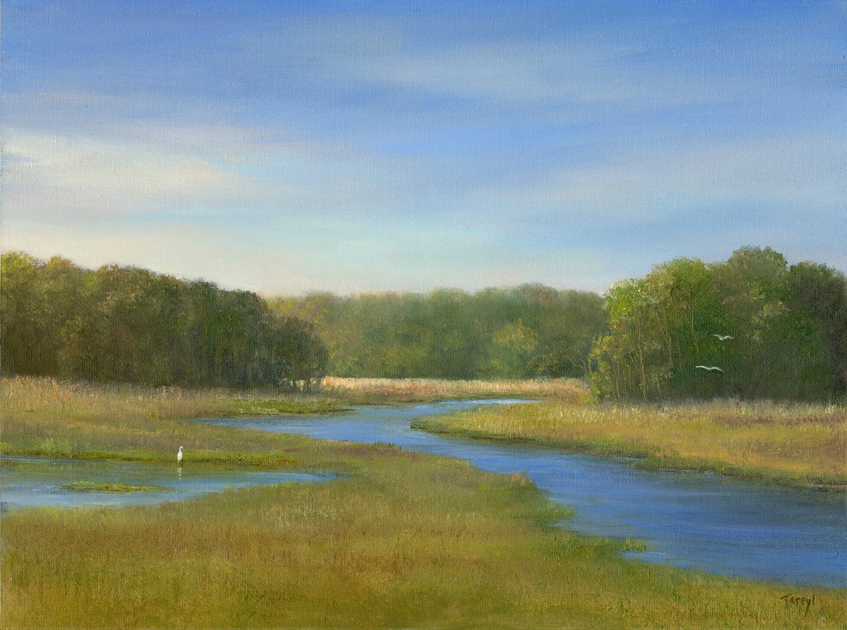 Winding Marsh, Herring River by Tarryl Gabel, Image 1.