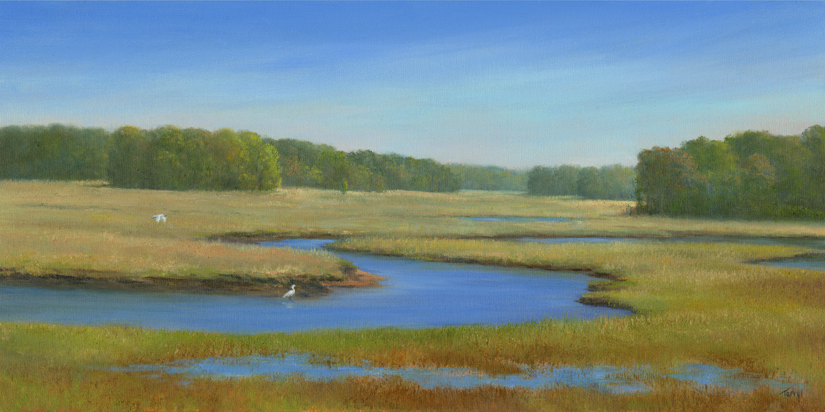 High tide, Herring River Marsh by Tarryl Gabel 