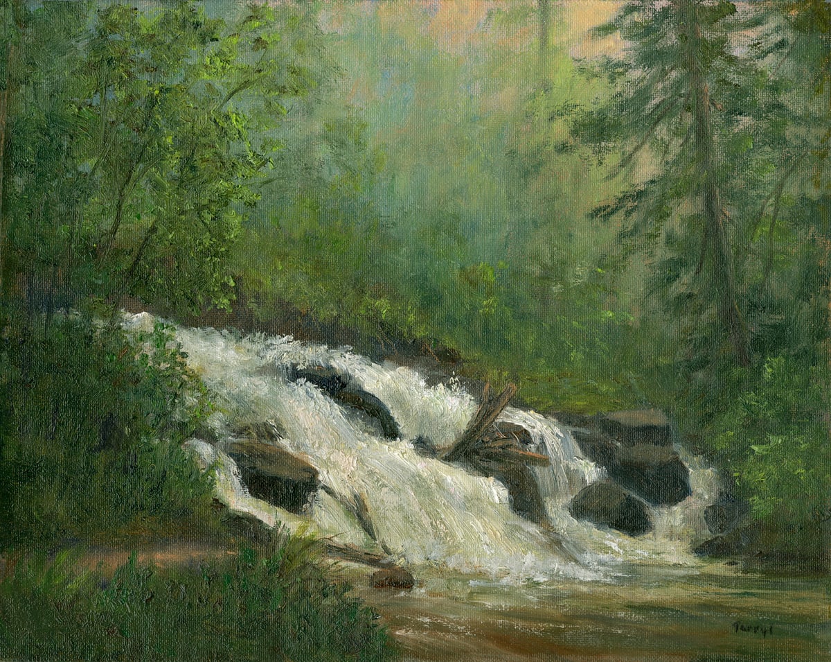 Hidden Falls, Black Pond ADKS by Tarryl Gabel 