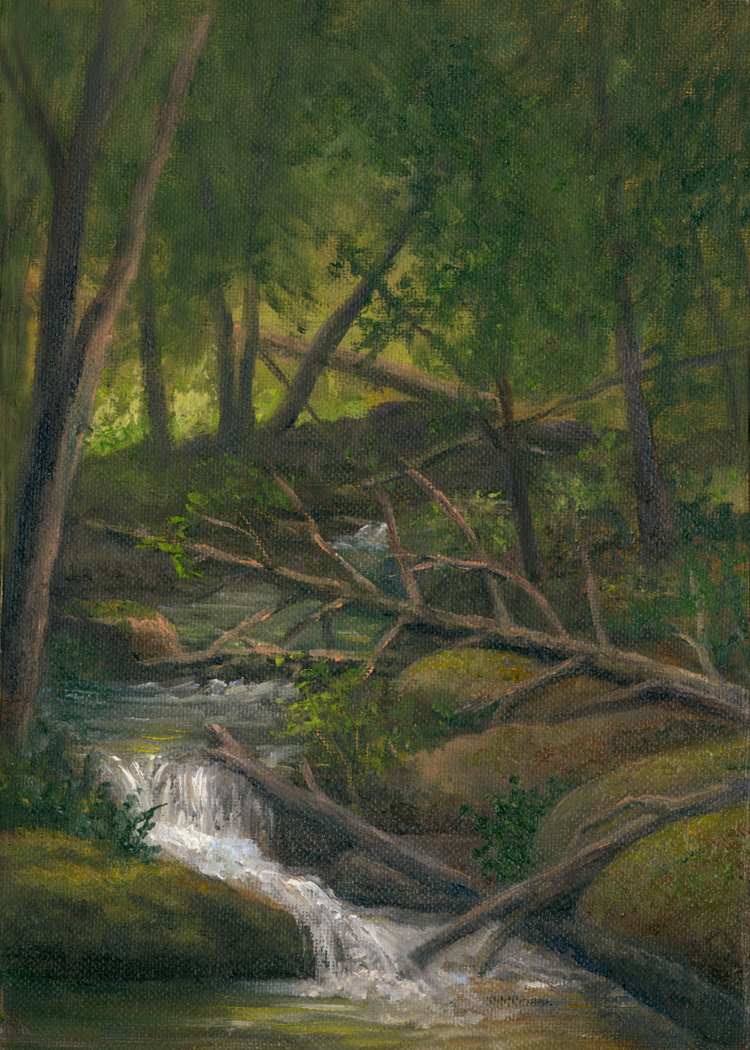Rushing Stream  by Tarryl Gabel, Image 1.