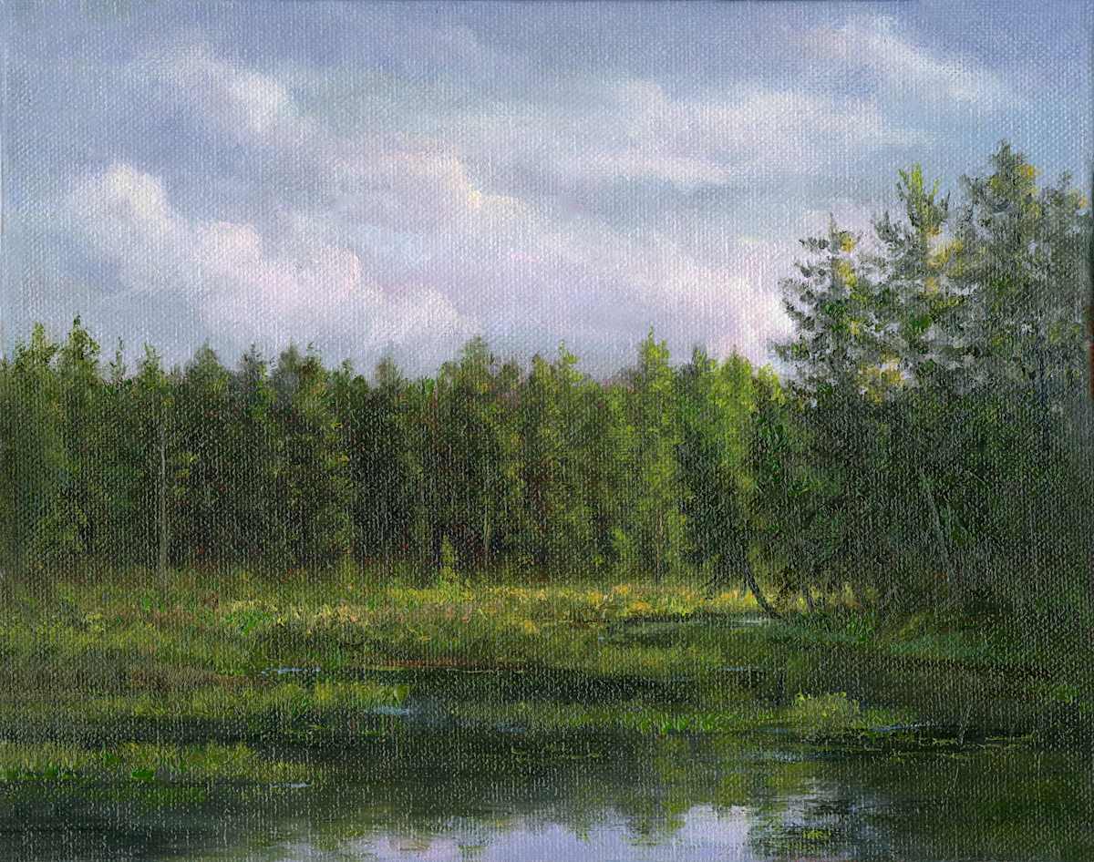 Leaning tree, cloudy morning Adirondacks by Tarryl Gabel 