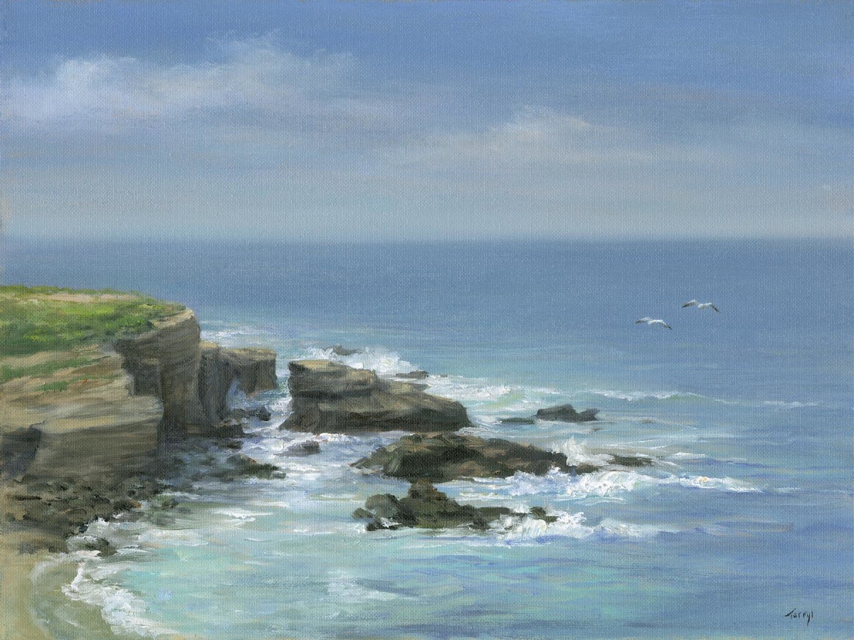 La Jolla Cove with sea gulls by Tarryl Gabel 