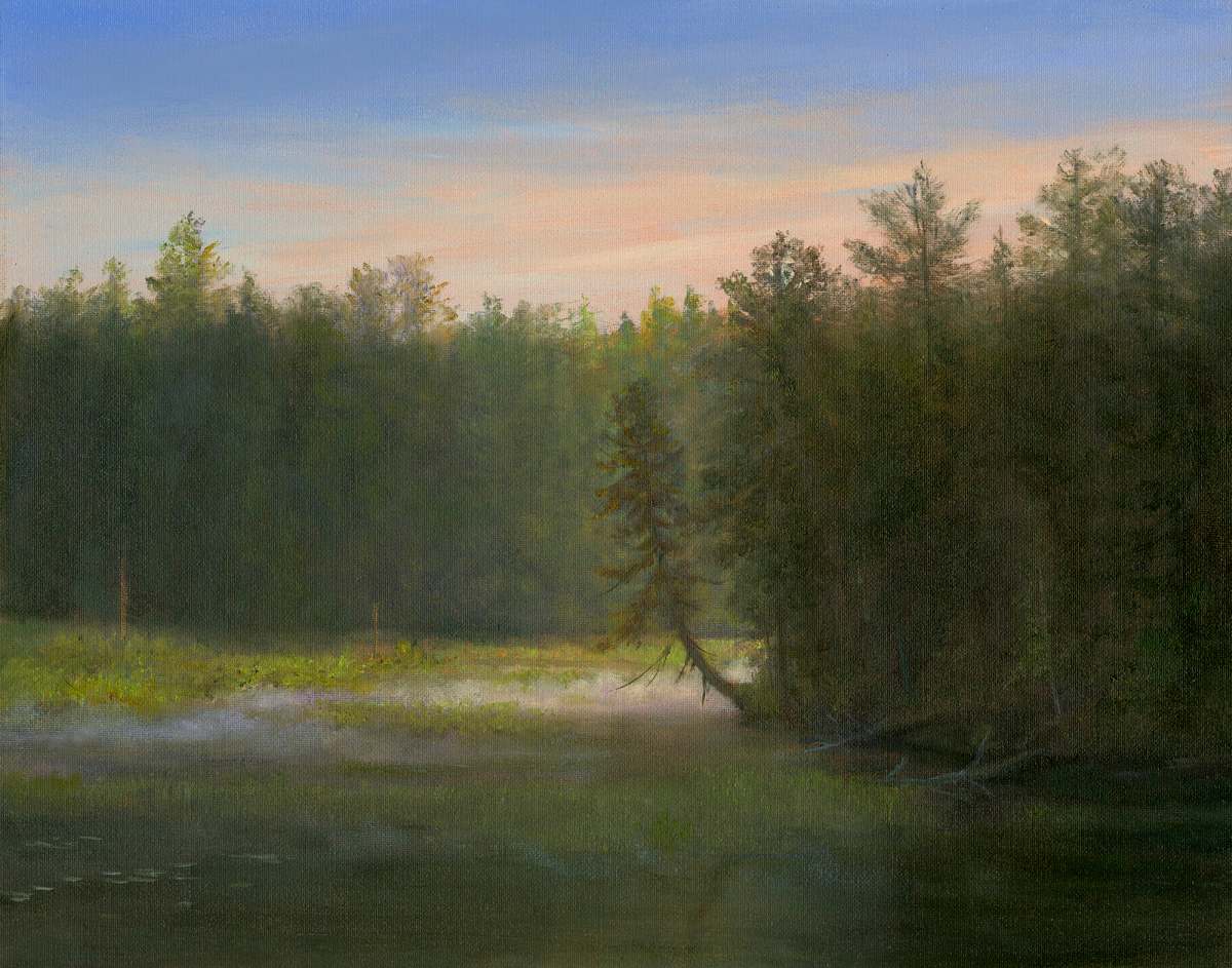 Sunrise, leaning tree, ADKS by Tarryl Gabel, Image 1.
