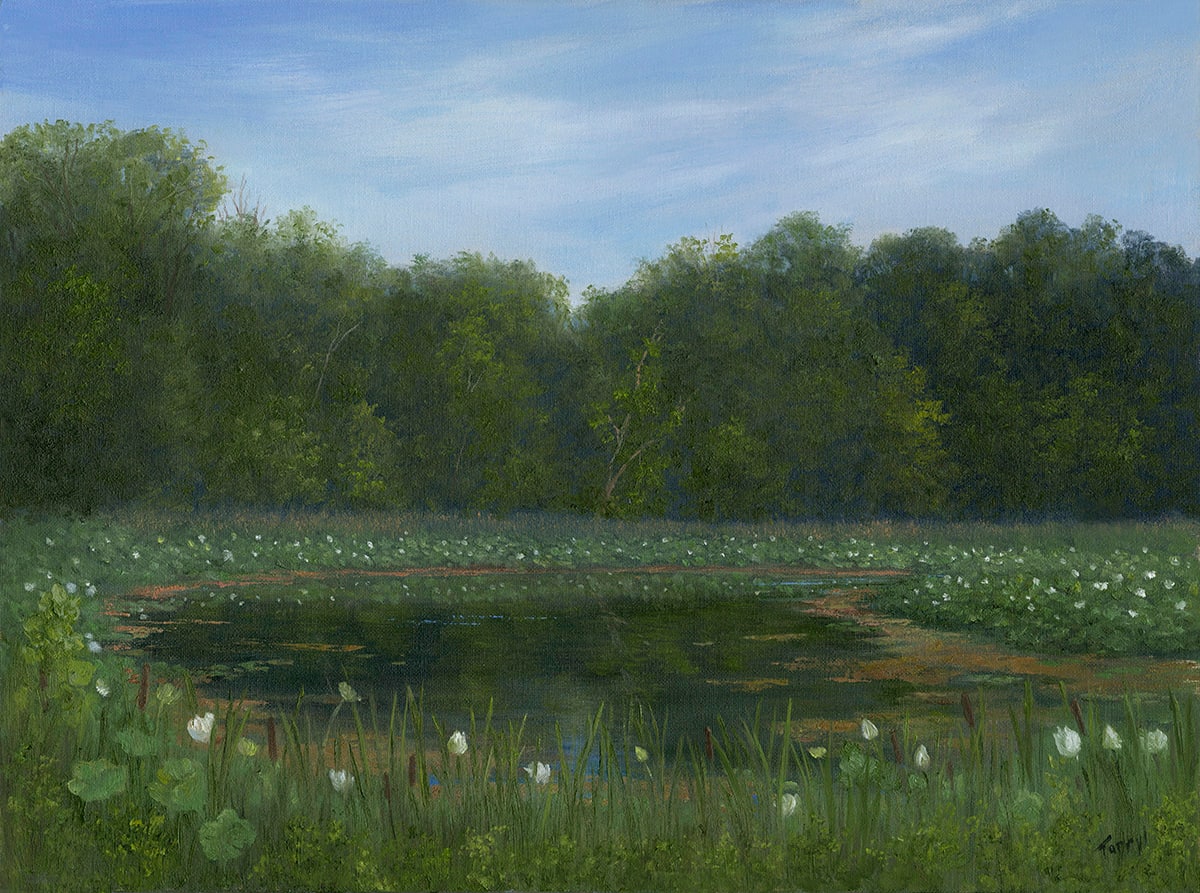 Friends Park Pond in Bloom by Tarryl Gabel 