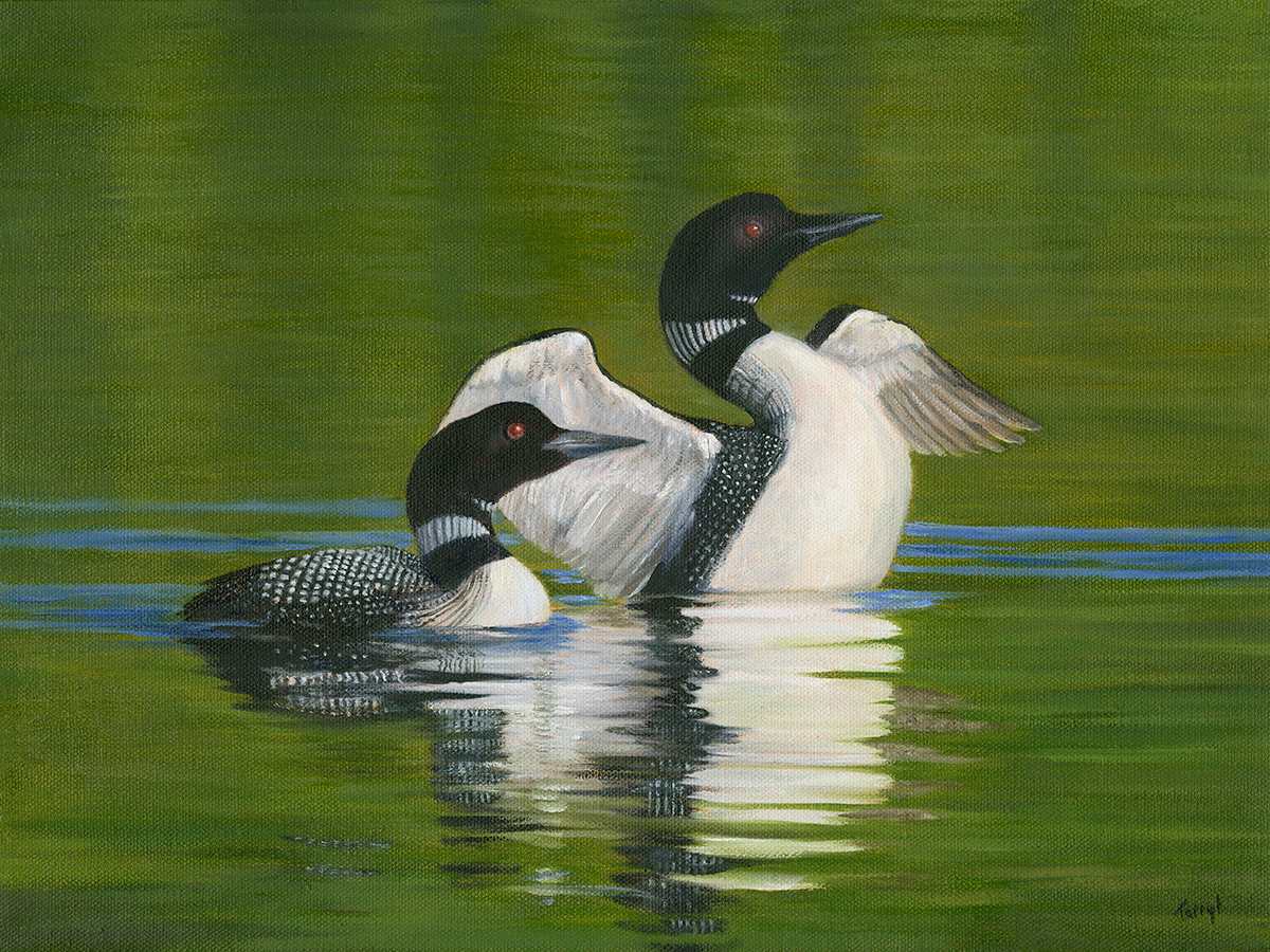 Pair of Loons by Tarryl Gabel 