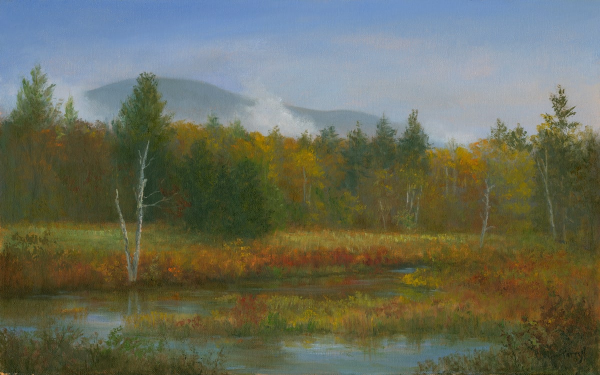 Autumn Marsh Bartlett NH, Image 1.